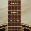 New Recording King RKR35 Madison 5 string Banjo for Sale