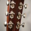 Collilngs D2hBaaaA Brazilian Rosewood Acoustic Guitar