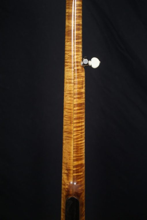 Wildwood Openback 5 string Banjo