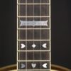 Stelling Sunflower 5 string Banjo