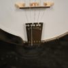Stelling Sunflower 5 string Banjo