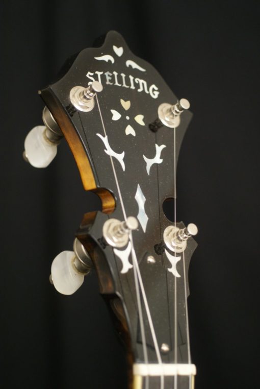Stelling Sunflower 5 string Banjo