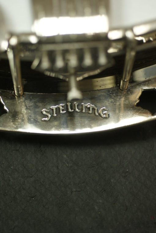 Stelling Sunflower 5 string Banjo