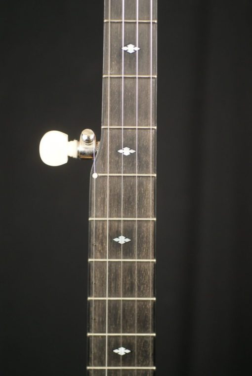 Stelling Afton Star 5 string Banjo