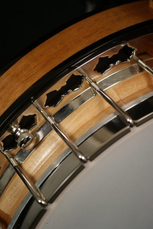 Stelling Afton Star 5 string Banjo