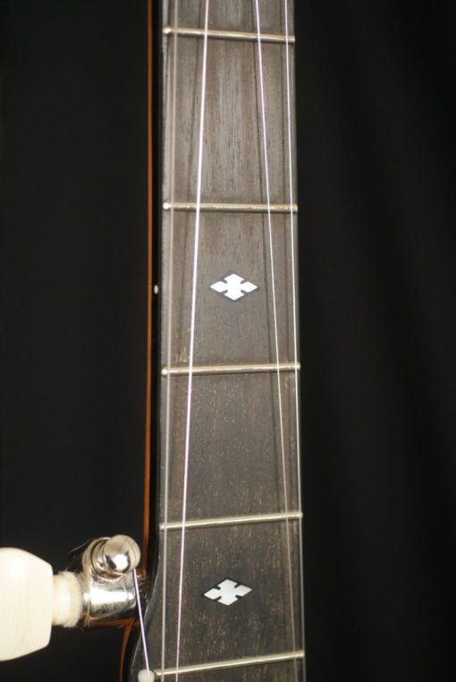 Stelling Afton Star 5 string Banjo