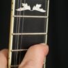 Stelling Bill Emerson Red Fox Deluxe 5 string Gold Plated and Engraved 5 string Banjo