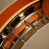Recording King RKR30 BGM The Bluegrass Machine 5 string Banjo by Greg Rich