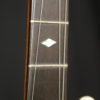 Deering Boston 5 string banjo