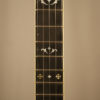 1978 Stelling Gospel 5 string Banjo Vintag Banjo Made in USA