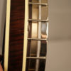 Deering Tenbrooks Saratoga Star 5 string Banjo Deering Banjo for Sale