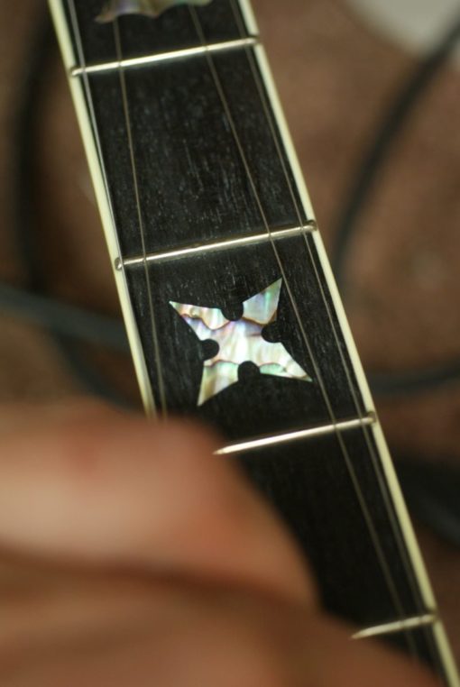 Stelling Staghorn Deluxe Fully Engraved 5 string banjo