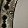 Stelling Staghorn Deluxe Fully Engraved 5 string banjo