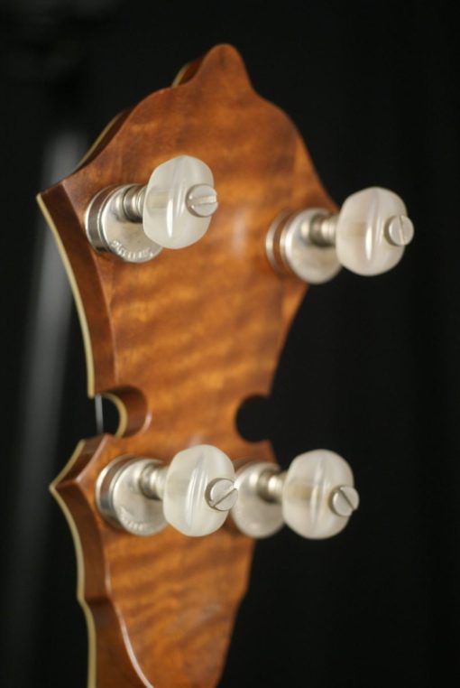 Stelling Staghorn Deluxe Fully Engraved 5 string banjo