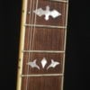 Stelling Crusader Deluxe 5 string banjo owned by Chris Warner