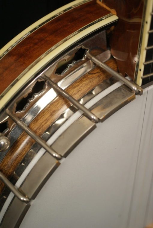 Stelling Staghorn 5 string banjo