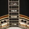 Stelling Staghorn 5 string banjo