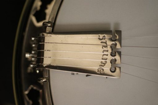 Stelling Staghorn 5 string banjo