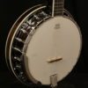 Washburn 5 string Banjo