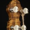 Wildwood 5 string openback banjo