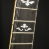 Ome Monarch Megatone 5 string Banjo