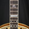 Stelling Master Flower Deluxe Gold Plated and Engraved 5 string Banjo