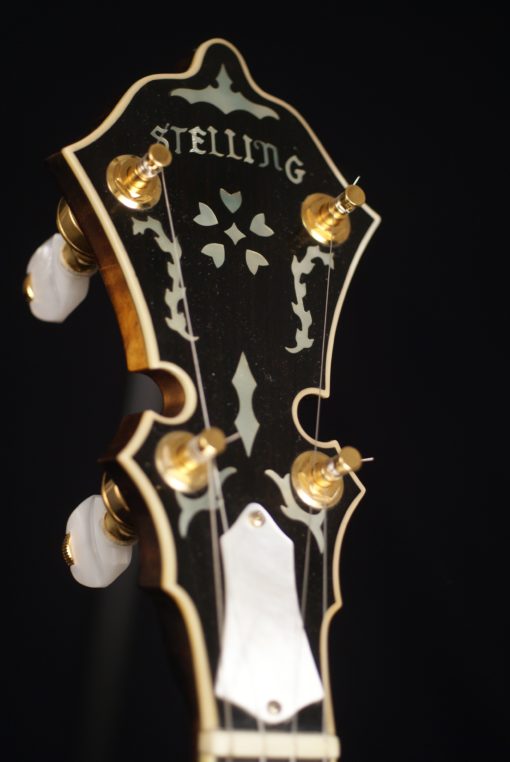1996 Stelling Masterpiece 5 string banjo