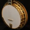 1996 Stelling Masterpiece 5 string banjo
