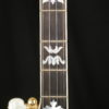 Gold Star GF-300FE 5 string banjo