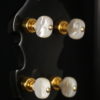 Gold Star GF-300FE 5 string banjo