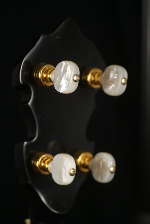 Gold Star GF-300FE 5 string banjo