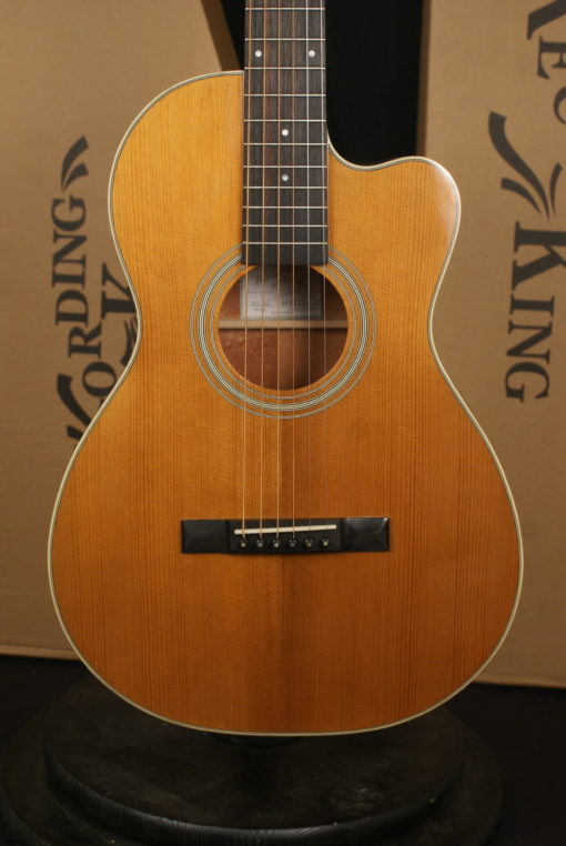 New Recording King RP1-16C