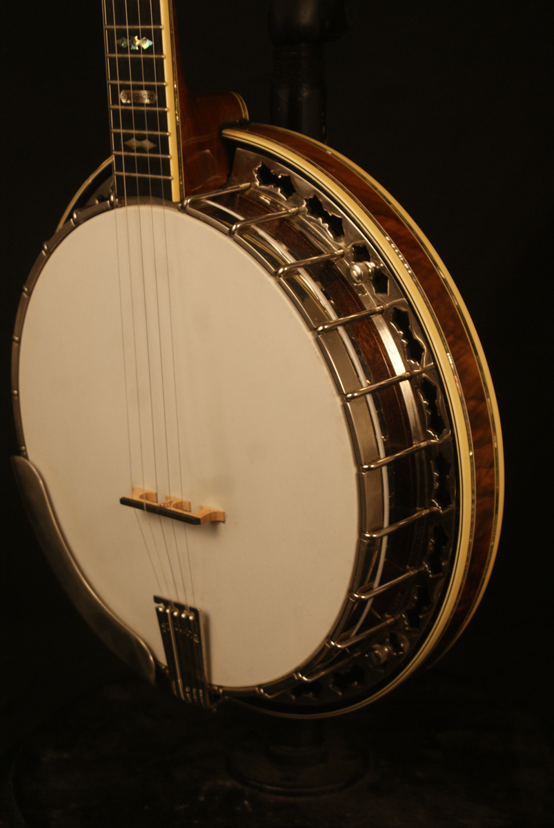 1978 Stelling Staghorn 5 string Banjo Made in USA