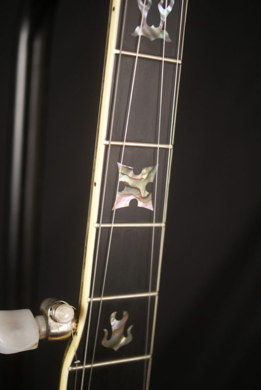 1993 Stelling Staghorn 5 string Banjo Made in USA