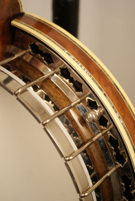1993 Stelling Staghorn 5 string Banjo Stelling Banjo for Sale