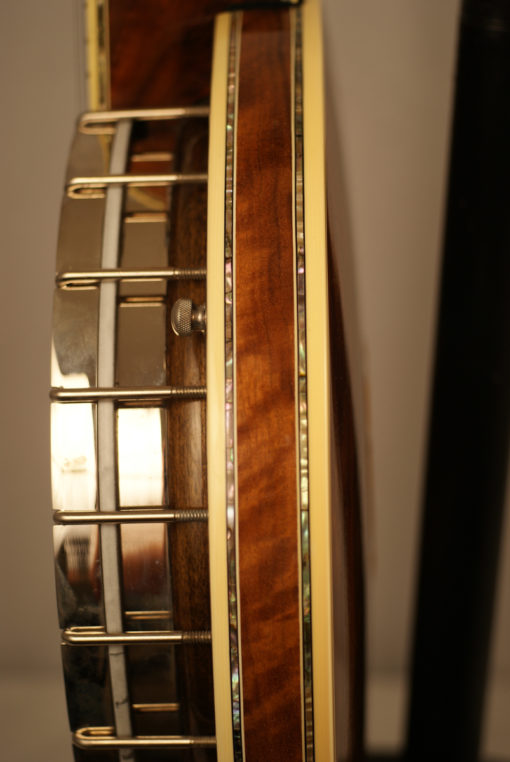1993 Stelling Staghorn 5 string Banjo Stelling Banjo for Sale