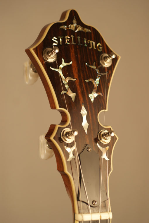 1993 Stelling Staghorn 5 string Banjo Stelling Banjo for Sale