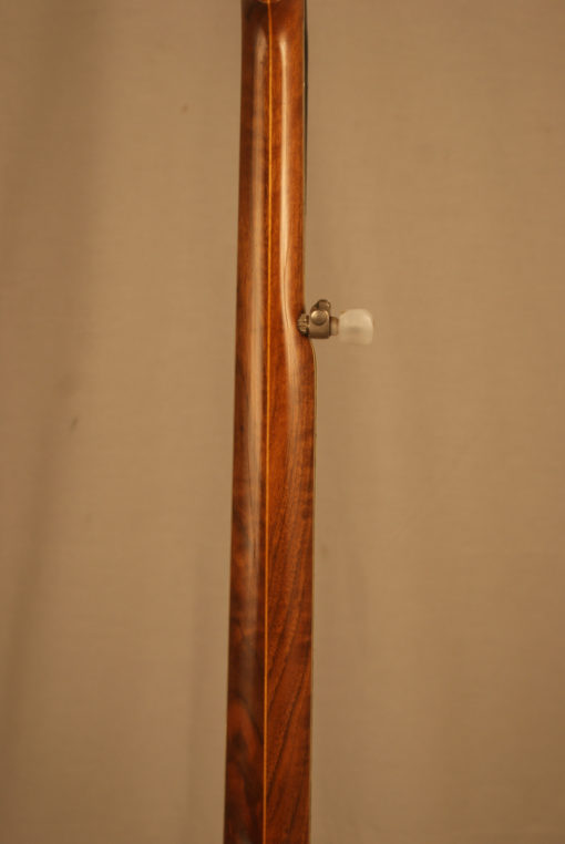 1993 Stelling Staghorn 5 string Banjo Stelling Banjo for Sale