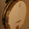 2018 Deering Ivanhoe 5 string Banjo Deering Banjo for Sale