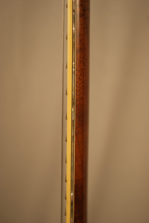 1978 Stelling Staghorn Vintage Stelling Banjo Made in USA