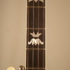 1994 Gibson RB3 Flying Eagle