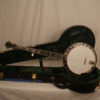 1999 Stelling Staghorn 5 string Banjo