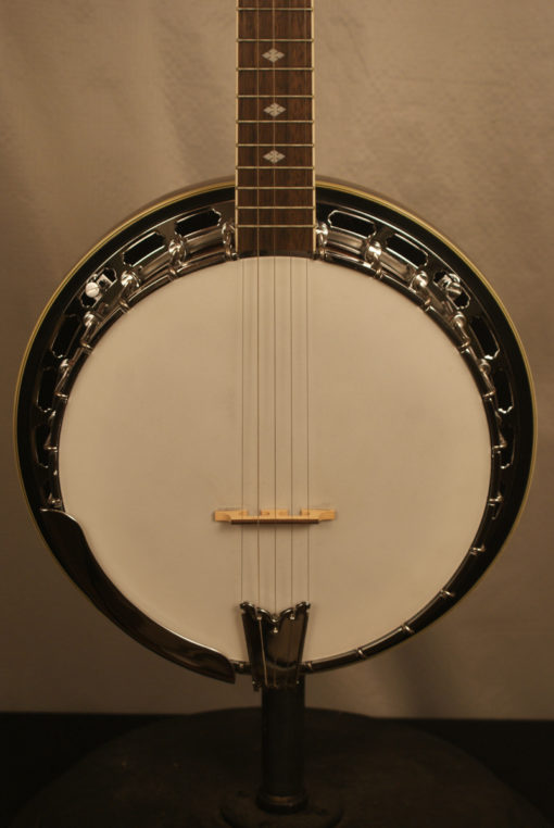 Gold Tone BG250F 5 string Banjo
