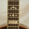 Nechville Eclipse 5 string Banjo for Sale
