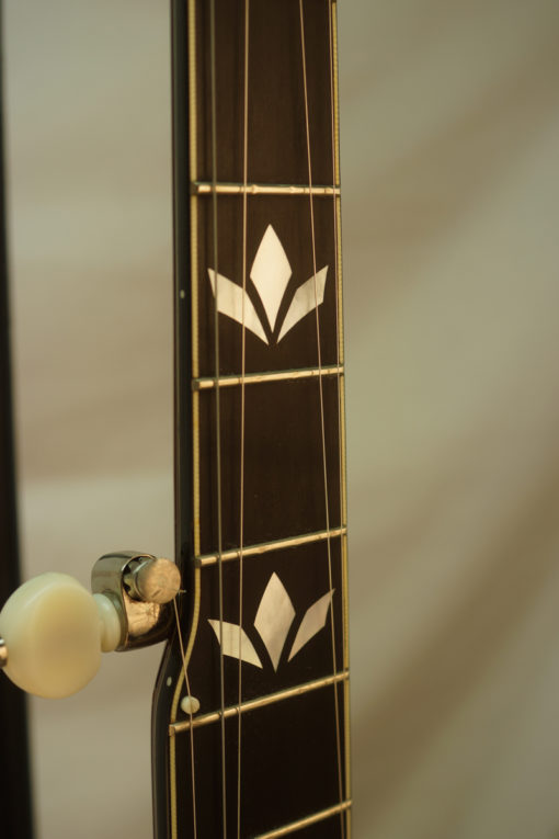 Nechville Eclipse 5 string Banjo for Sale
