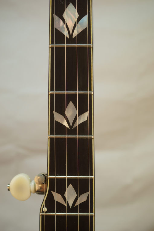 Nechville Eclipse 5 string Banjo for Sale