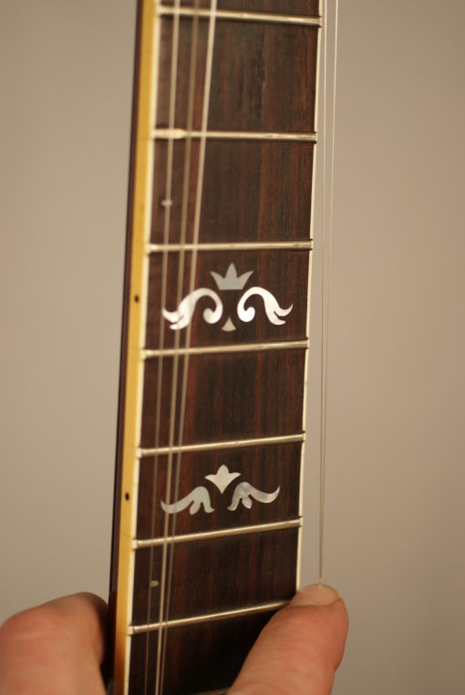 Rich and Taylor JD Crowe 5 string Banjo with Kulesh Tone Ring