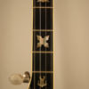 1979 Vintage Stelling Staghorn 5 string Banjo Stelling Banjo for Sale