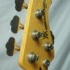 Sabre Bass neck