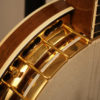 Ode 5 string Banjo Style D for sale